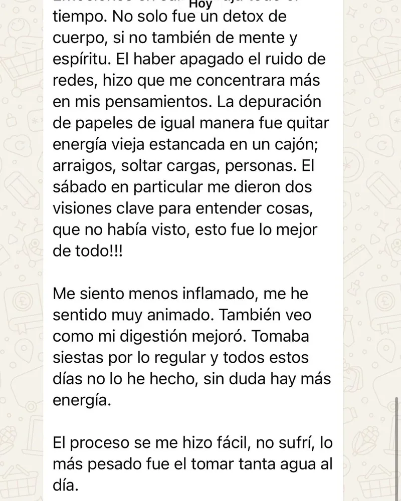Testimonio: no solo fue un detox de cuerpo sino también de mente y espíritu; menos inflamado, mejor digestión y más energía. El proceso se le hizo fácil.